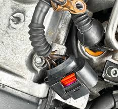 Image result for Citrus Yellow 2004 A4