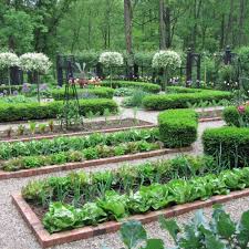 A kitchen garden is a small garden where you grow vegetables and herbs. Planning A Kitchen Garden Garden Layout Vegetable Garden Layout Vegetable Garden Design