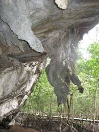Local tour operators ferry tourists to a selection of 14 attractions, covering caves, islands, beaches. Langkawi Bat Cave Mapio Net