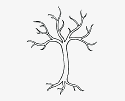 Decide whether you'd like to start with a leafy deciduous tree or a. Trees Easy Drawing At Getdrawings Leafless Tree Drawing 480x583 Png Download Pngkit