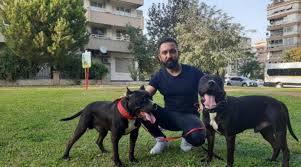 Pitbull Beslemek Yasak Mi