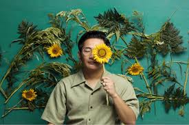 Ada bunga matahari sedang mekar. Merayakan Cerah Sinar Matahari Di Lagu Baru Mondo Gascaro Whiteboard Journal