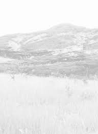 Image result for Kotschya uguenensis