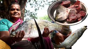 Fish names in english and local names with pictures. How To Clean Pandugappa Amazing Barramundi Fish Cutting Street Food Asian Sea Bass Fish Cutting Youtube