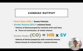 Image result for Cardiac Output