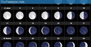 Cada 29,5 días se produce la fase de luna nueva. Cuando Es La Proxima Luna Nueva