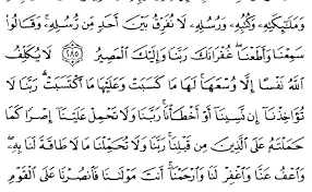 Surah ini jika kita rutin membacanya maka akan mendatangkan keberkahan untuk diri kita sendiri. Surat Al Baqarah Ayat 285 286 2 Ayat Terakhir Surat Al Baqarah Cute766