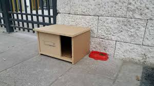 Adore Kedi Evi Gelmedi Mobilya Dekorasyon
