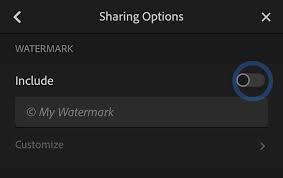 In the lightroom tab on the top navigation, select edit watermark. How To Watermark Photos On Iphone Iphone Photography