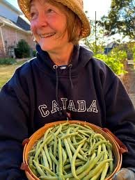 Are old vegetable seeds still good to plant?