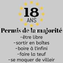 Permis De La Majorite Cadeau Anniversaire 18 Ans T Shirt Premium Homme Spreadshirt