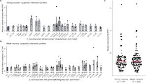 Nah, pada kesempatan kali ini admin akan membahas tentang angela grace viral andai saja aku tidak merekam… nonton boruto chapter 59 dan link download boruto 59 full. Biophysical Basis Of Cellular Multi Specificity Encoded In A Model Molecular Switch Biorxiv