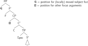 I think there are three main reasons why students don't use. Subject And Non Subject Ex Situ Focus In Dagbani