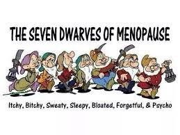See more ideas about funny, bones funny, cartoon jokes. Funny Menopause Memes
