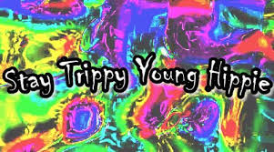 Stay Trippy Young Hippie Tumblr Hippie Quotes Trippy Quotes Psychedelic Quotes