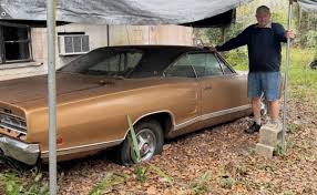 Image result for Tan 1977 Colt