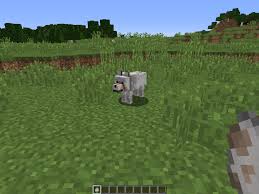 There are 2835 mobile games related to minecraft with animals on it, such as minecraft endless runner online and brain it on: How To Play In Creative Mode On Minecraft Levelskip