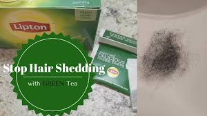 Tea tree oil is a common ingredient in home treatments to prevent hair loss and strengthen hair. Stop Hair Loss With Green Tea Youtube