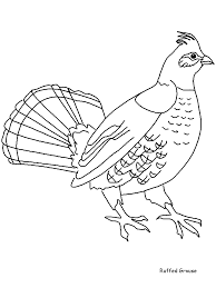 We have collected 39+ state bird coloring page images of various designs for you to color. Ruffedgrouse Animals Coloring Pages Coloring Page Book For Kids