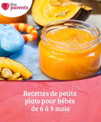 Recettes De Petits Plats Pour Bebes De 6 A 9 Mois Etre Parents Repas Pour Bebe Faits Maison Aliments Pour Bebe Faits Maison Nourriture Bebe