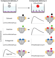 This is a less powerful version of our transonic pro pest repeller. Volatile Allosteric Antagonists Of Mosquito Odorant Receptors Inhibit Normal Odor Dependent Behaviors Biorxiv