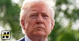 This is what I'm talking about, this 💩!