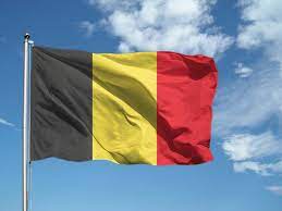 Originariamente, i colori della bandiera belga erano disposti su tre bande orizzontali, ma ciò venne modificato l'anno seguente attraverso un decreto che stabilì la modifica delle bande. Bandiera Belgio Bandiere Italiane