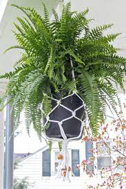 Trucos ecológicos de decoración para cumpleaños. Haga Este Sencillo Colgador De Macrame Para Plantas Blog De Actividades Para Ninos Decoracion Y Disfraces Para Fiestas Y Cumpleanos Infantiles