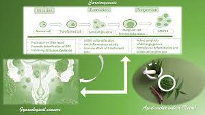 Ijms Free Full Text An Overview On The Anticancer Activity Of Azadirachta Indica Neem In Gynecological Cancers Html Profil officiel de l'athlete olympique pooja dhanda (ne(e) le 01 janv. azadirachta indica