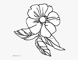 People born with this totem have manly characteristics, even among women. 28 Collection Of Cherokee Rose Drawing Georgia State Flower Free Transparent Clipart Clipartkey
