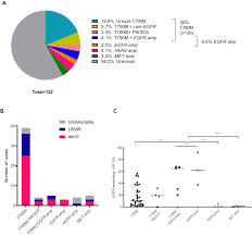 Your well being practitioner can give you the outcomes inside 2 to three days after the biopsy takes place if all the pieces is regular. Liquid Biopsy Uncovers Distinct Patterns Of Dna Methylation And Copy Number Changes In Nsclc Patients With Different Egfr Tki Resistant Mutations Scientific Reports