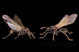 Kati karenina erome check out special karen panigua xxx