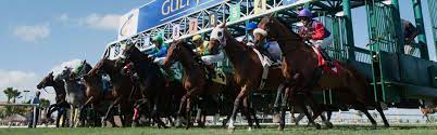 Free gulfstream park racing picks for sunday, july 11th, 2021: Free Gulfstream Park Picks Off Track Betting