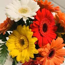 Hours may change under current circumstances Domenic Graziano Flowers Gifts 11 Reviews Florists 518 York Rd Warminster Pa Phone Number Yelp