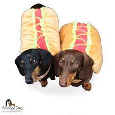Buy Hot Dog Costume For Dachshund Online Sausage Dog Central Dachshund Dog Costume Hotdog Costume