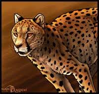 Start with two ovals and a circle. How To Draw Cartoon Cheetahs Realistic Cheetahs Drawing Tutorials Drawing How To Draw Cheetahs Drawing Lessons Step By Step Techniques For Cartoons Illustrations