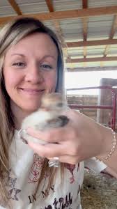 Homemade poultry electrolyte mix. It’s been a game changer for the overall  health of our flock. ESPECIALLY turkeys! 1 cup sugar, 3 tsps potassium  chloride, 3 tsps salt, 3 tsps baking soda. Then I give ...