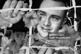 216 Vernon Gardner Stock Photos, High-Res Pictures, and Images