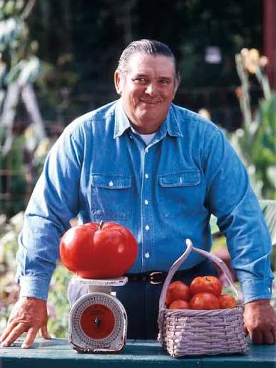 World's Largest Tomato: What? Not Grown in Italy? - GRAND VOYAGE ITALY