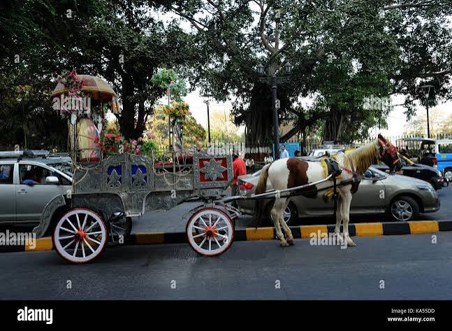 Horse cart at, Apollo, Bandar, mumbai, maharashtra, India, Asia Stock Photo - Alamy
