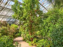 Um warteschlangen oder ballungen an den eingängen zu. Der Okologisch Botanische Garten In Bayreuth Obg