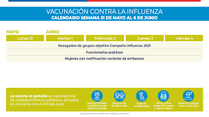 24.923 * según el reporte del minsal del 16 de abril. Chileatiende Vacuna Contra La Influenza