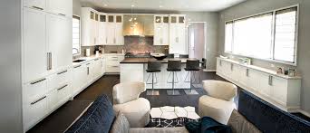 Also make provisions for a covered garbage container as well as recycling bins in the lower cabinets if at all possible. Wholesale Custom Semi Custom Cabinet Makers Chicago Builders Cabinet