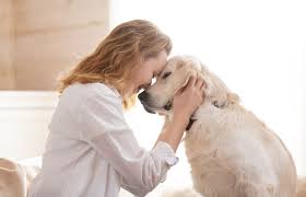 Pals is a licensed pet crematorium and have been in the pet cremation 20 years. Heavenly Paws Of Texas Honor Your Pet S Life