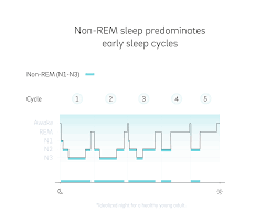 stages of sleep the definitive guide oura ring