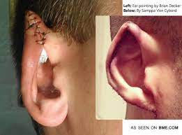 We recommend to use a small amount of spirit gum (or other makeup adhesive) to attach the elf ears to your buyers are responsible for return shipping costs. Pointing Versus Shaping Bme Tattoo Piercing And Body Modification News