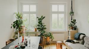 These sturdy indoor plants that are almost impossible to kill — plus, they're gorgeous! In Berlin S Kreuzberg Area A Couple Makes A Home Near Gorlitzer Park Curbed