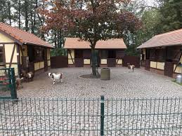 Derzeit können sie im tierpark 64. Streichelzoo Tierpark Limbach Oberfrohna Der Beutelwolf Blog