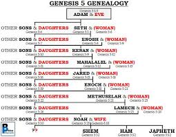 Biblical Perspicacity Genesis 5 Genealogy Chart
