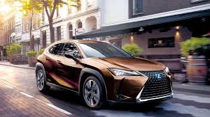 Image result for Autumn Shimmer 2019 UX